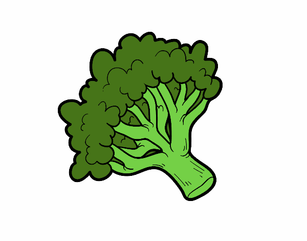Broccoli branch