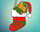 Kitten sleeping in a Christmas stocking