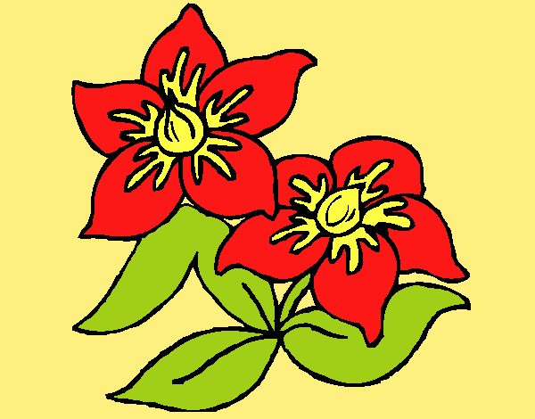 Coloring page Flowers 3 painted byLornaAnia