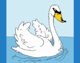 Coloring page Swan in water painted byLornaAnia