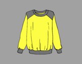 Coloring page Light sweatshirt painted byLornaAnia