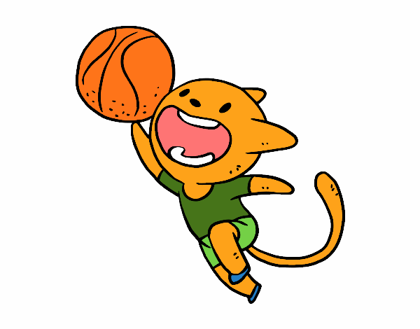 Basket cat