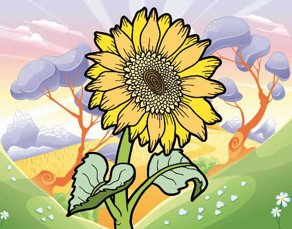 Coloring page Sunflower flower painted byx4stacy