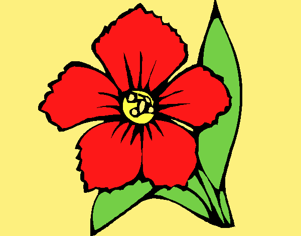Flower 4a