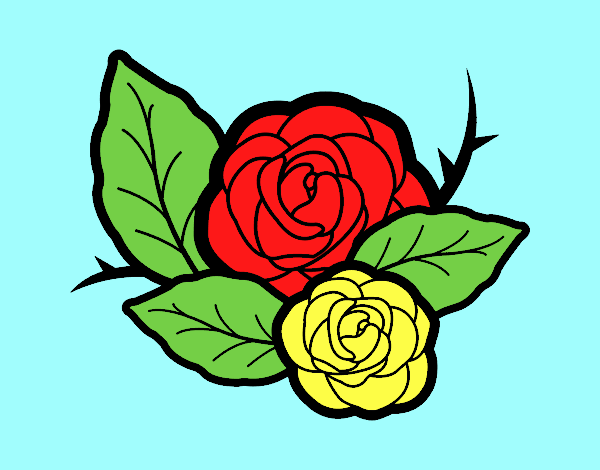 Two roses