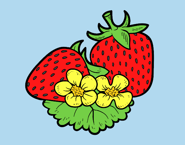 Big strawberries