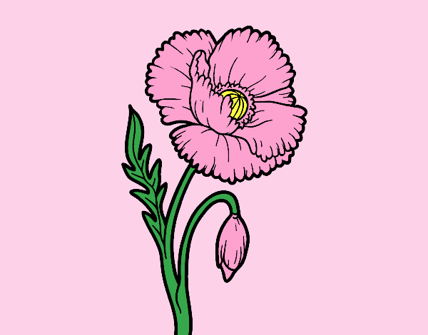 Coloring page A poppy flower painted byLornaAnia