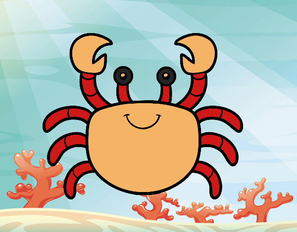 A sea crab