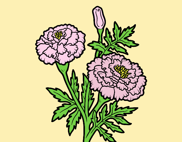 Coloring page A wonder flower painted byLornaAnia