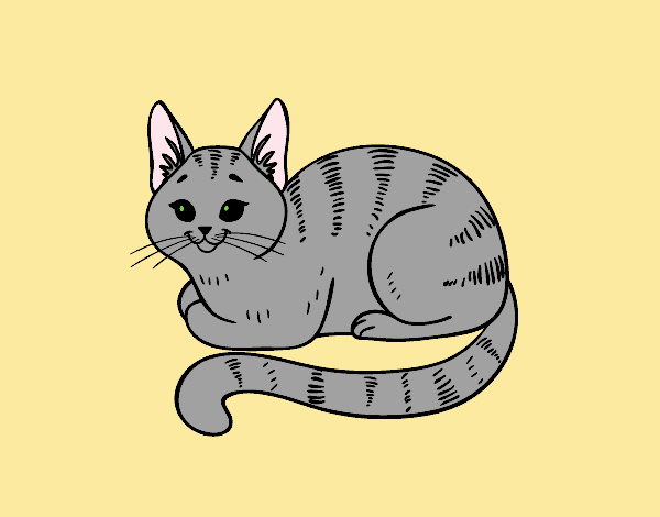 Coloring page Young cat painted byLornaAnia