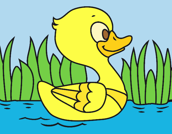 Coloring page River duck painted byANIA2