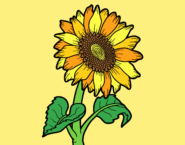 Coloring page Sunflower flower painted byANIA2
