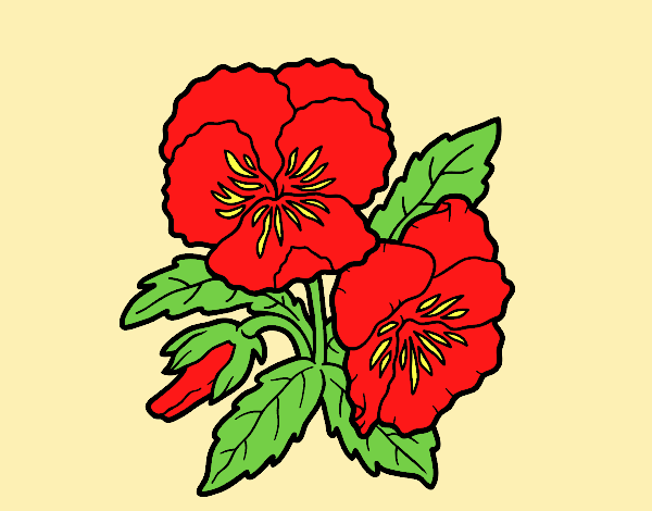 Coloring page Thought flower painted byANIA2