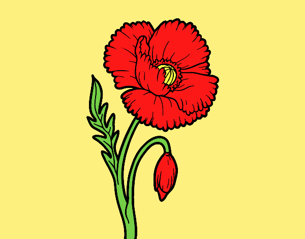 Coloring page A poppy flower painted byAnitaR