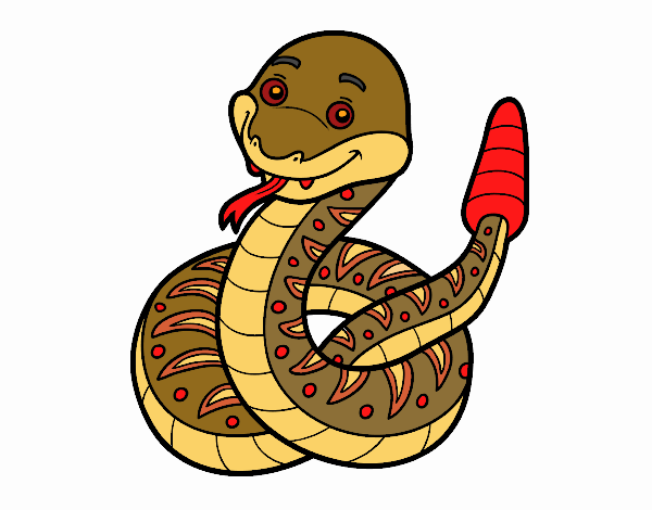  A rattlesnake