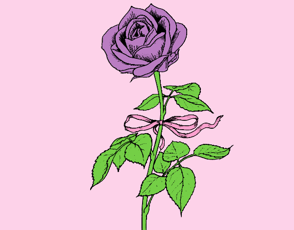 Coloring page A rose painted byAnitaR