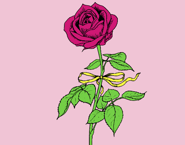 Coloring page A rose painted byJessicaB