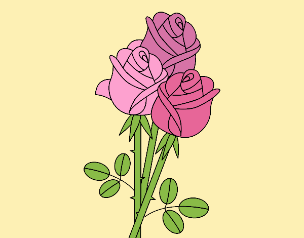 Coloring page A bouquet of roses painted byJessicaB