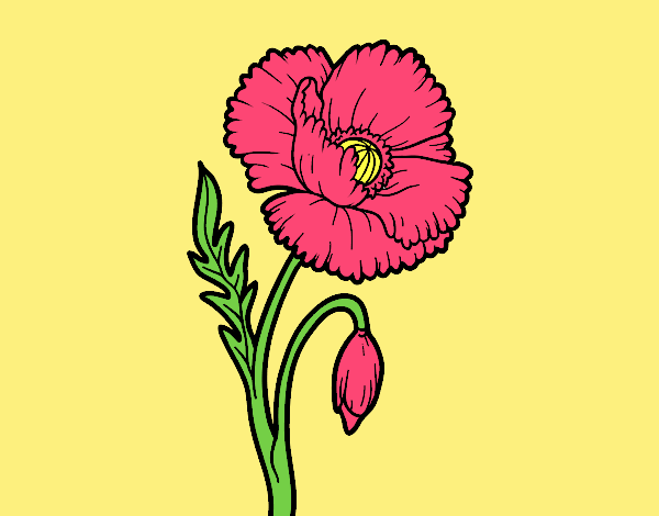 Coloring page A poppy flower painted byJessicaB