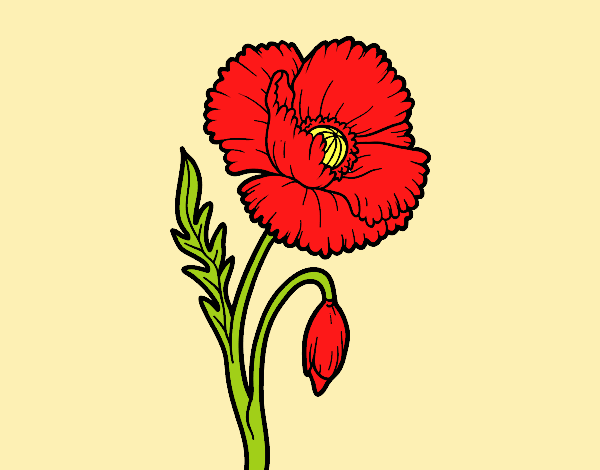 Coloring page A poppy flower painted byJessicaB