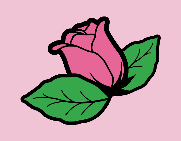 Rose with leaves