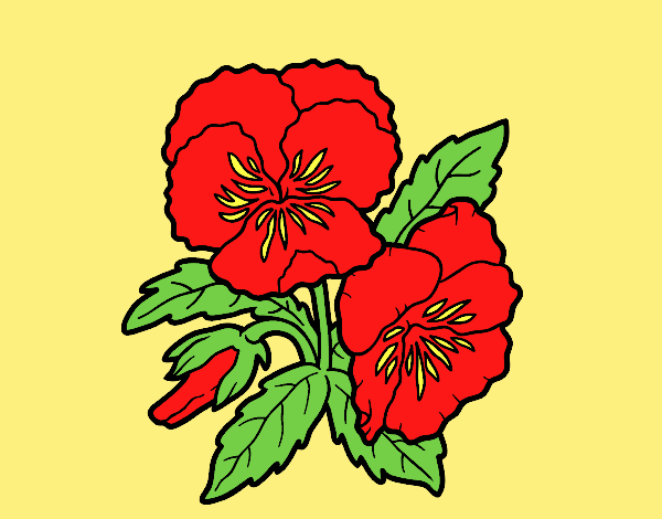 Coloring page Thought flower painted byAnitaR