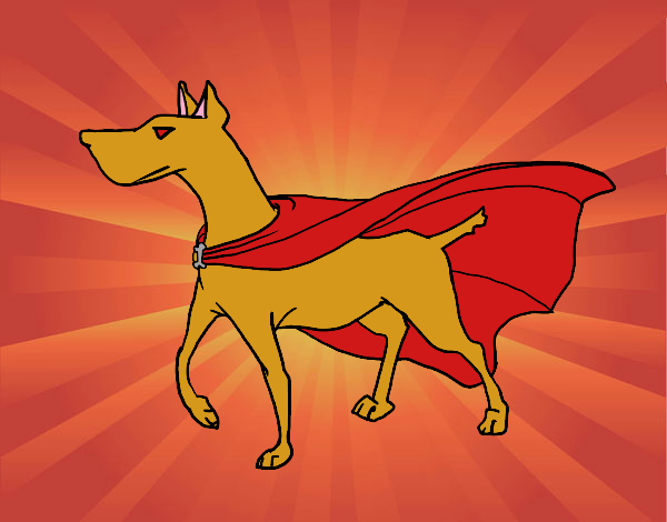 Dog superhero