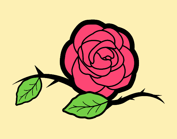 Coloring page A beautiful rose painted byJessicaB