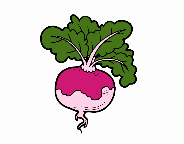 A turnip