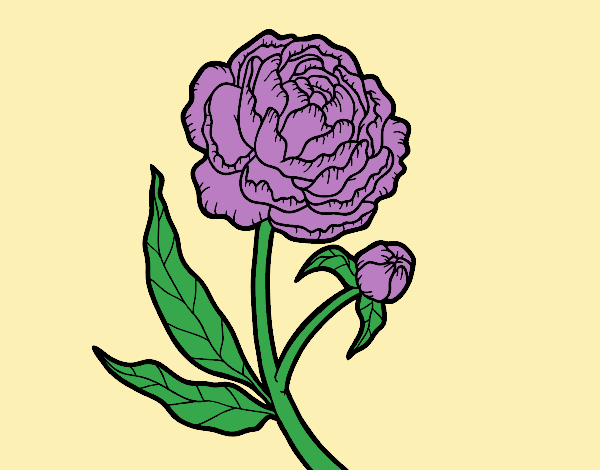 Coloring page Peony painted byLornaAnia