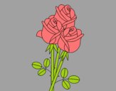 Coloring page A bouquet of roses painted byJessicaB