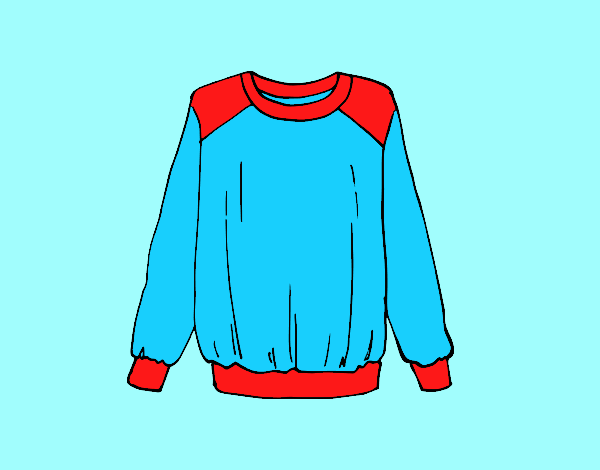 Light sweatshirt