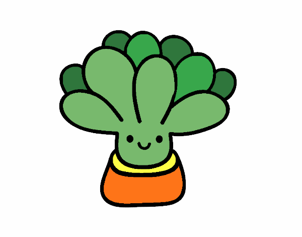 Mini succulent