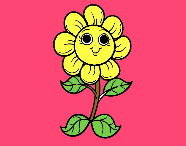 A little flower