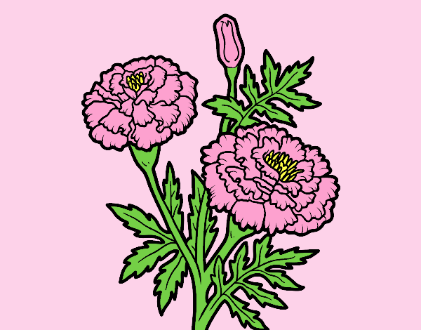 Coloring page A wonder flower painted byLornaAnia
