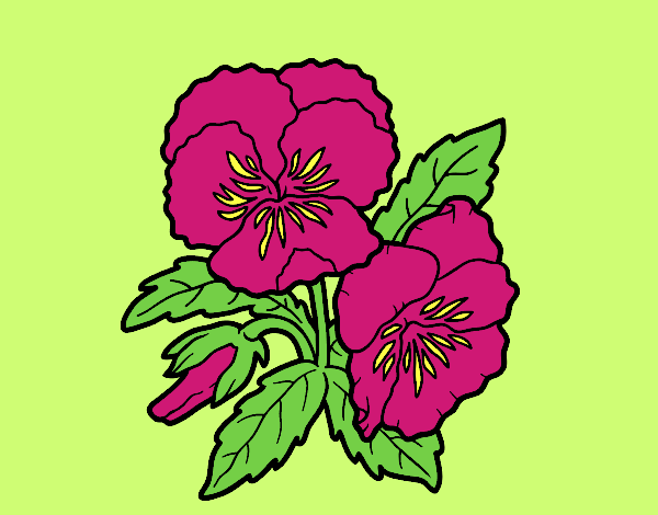 Coloring page Thought flower painted byLornaAnia