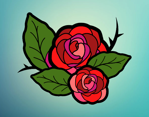 Two roses