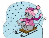 Little rat in bobsleigh
