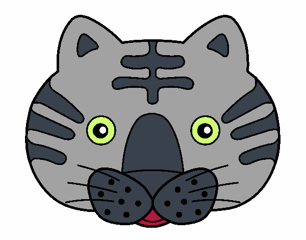 Cat II