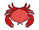 Large crab