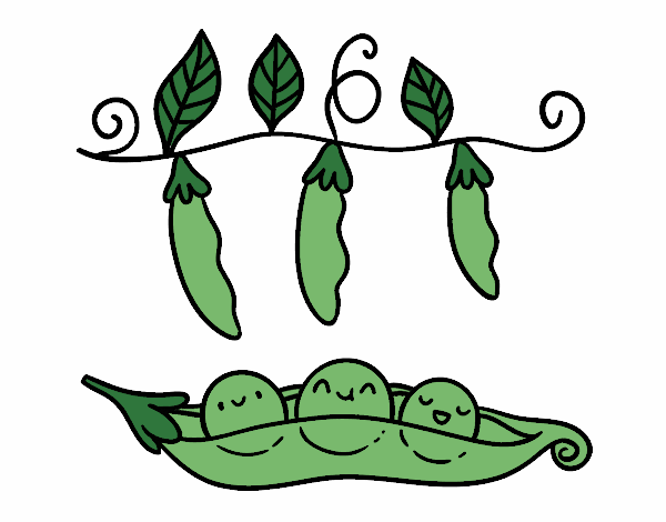 Some peas