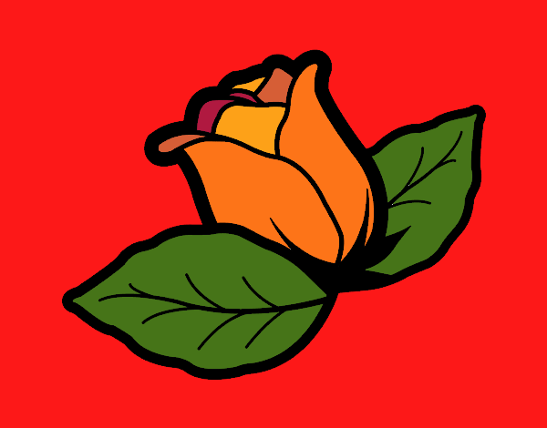 Rose with leaves
