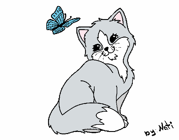 Kitten and Butterfly