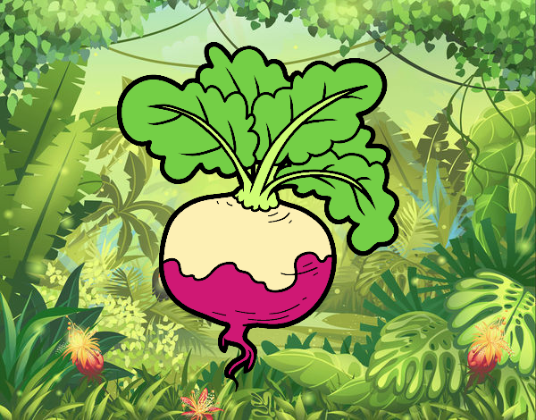turnip coloring page