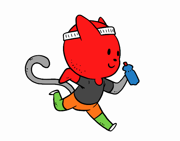 marathon cat runner