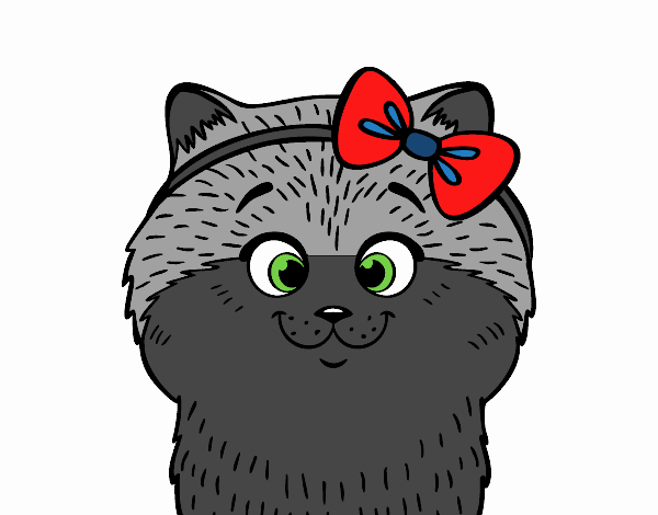 A cat with ribbon