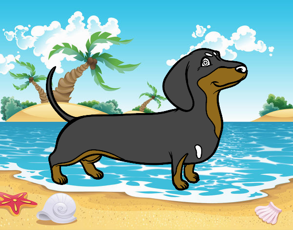 Dachshund Puppy Birthday Coloring Page : Free Dachshund Coloring Page