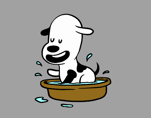 A puppy in the bathtub