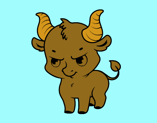 Baby bull