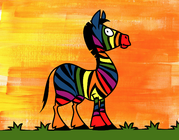 the rainbow zebra